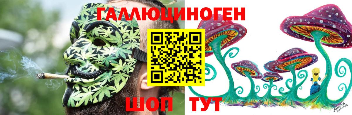 Псилоцибиновые грибы Cubensis Отрадный